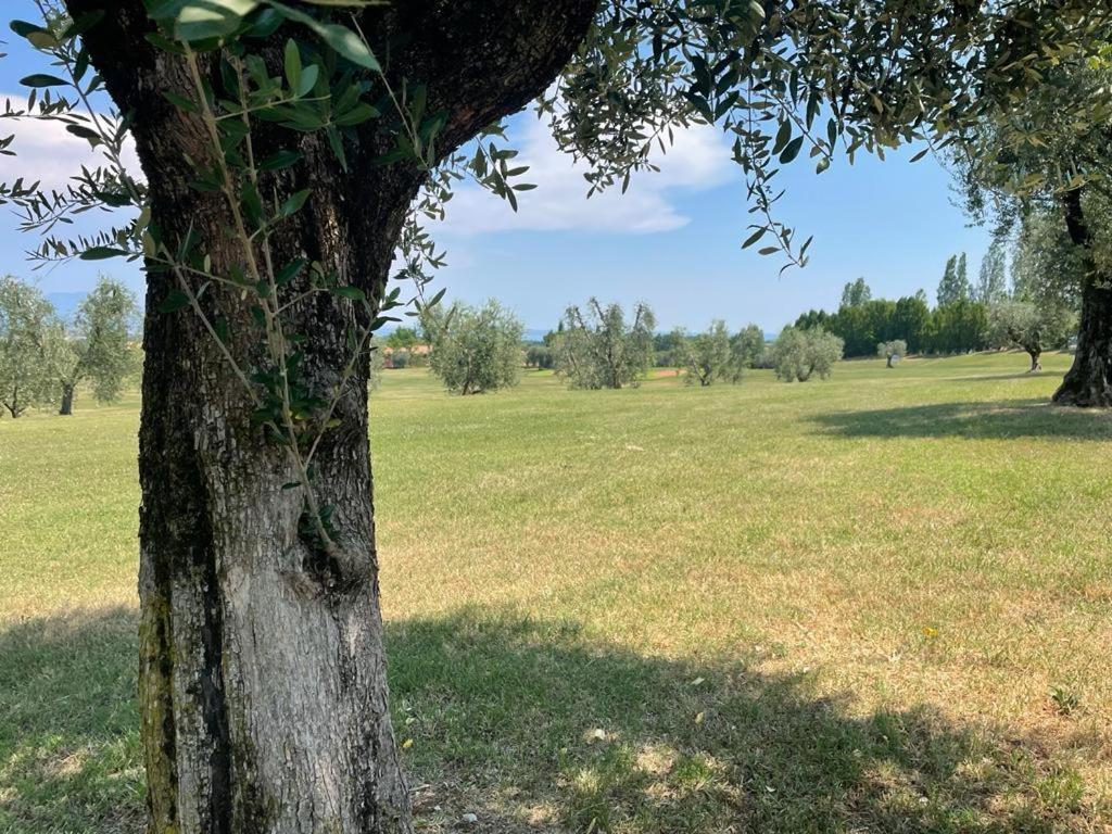 Garda Golf Country Chic Home Soiano Del Lago Bagian luar foto